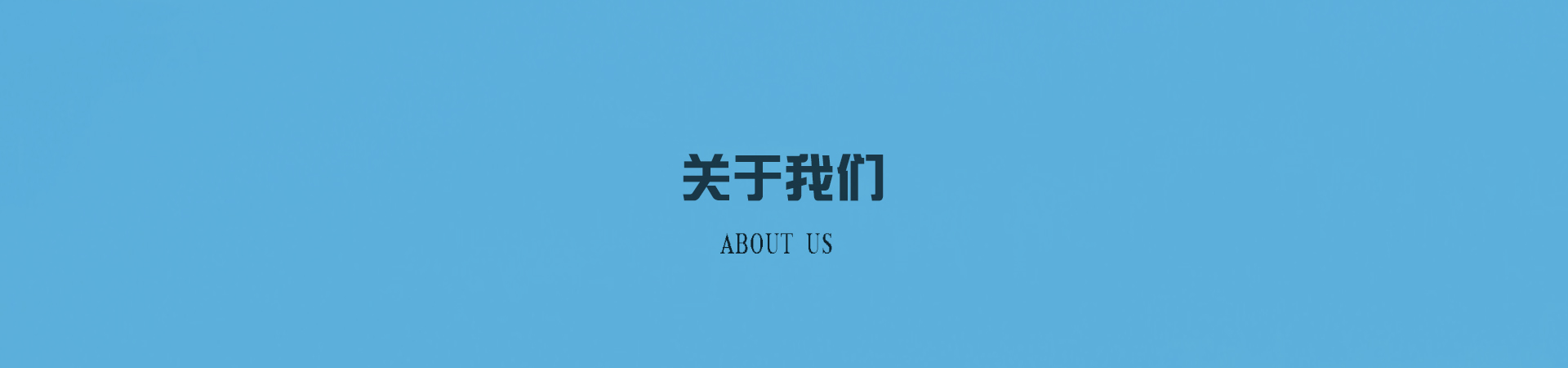 公司介绍